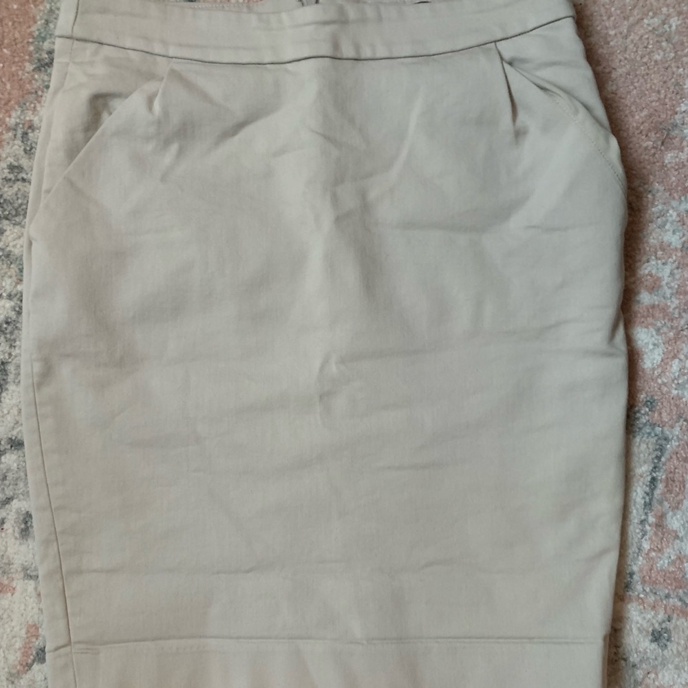 Express Stretch Pencil Skirt